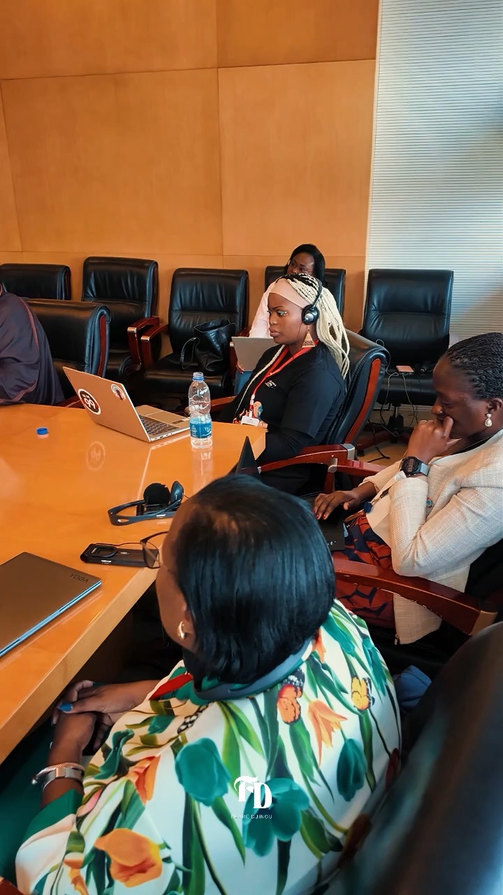 Délégation et participants à l'Union Africaine